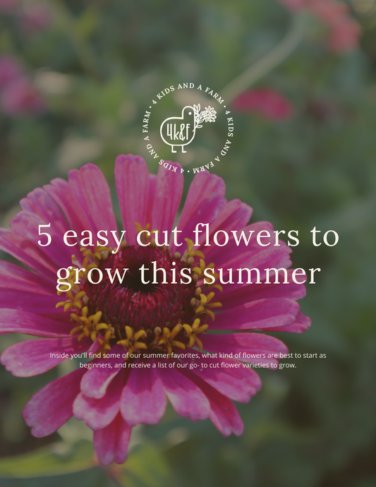 Easy To Grow Flowers